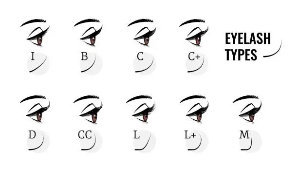 lash curls